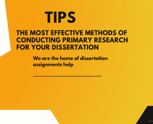 Dissertation Primary Research