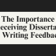 Dissertation Writing Feedback