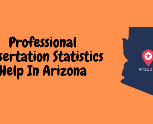 Professional Dissertation Statistics Help In Arizona