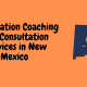 Dissertation Coaching and Consultation Services in New Mexico